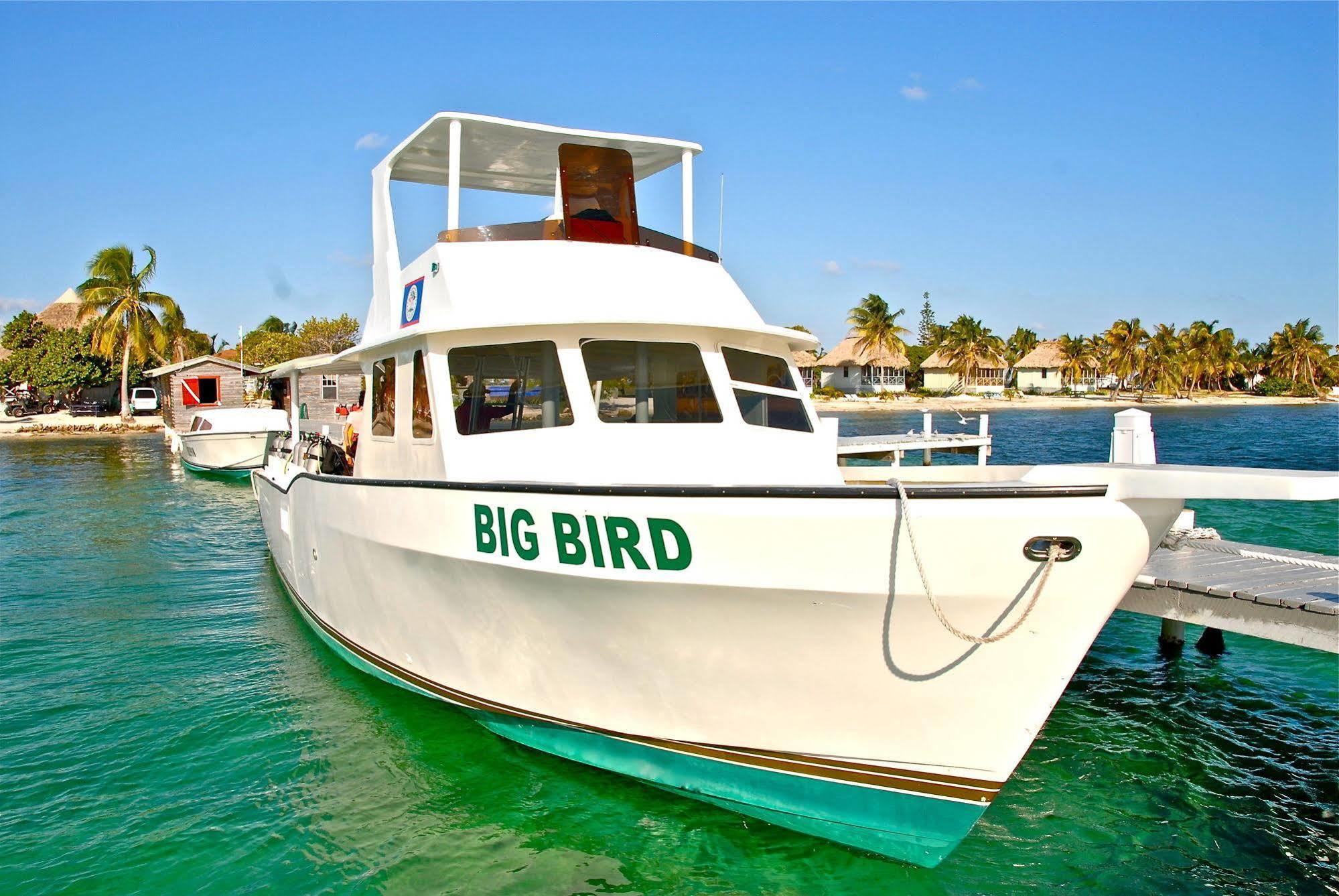 Blackbird Caye Resort Turneffe Atoll Esterno foto