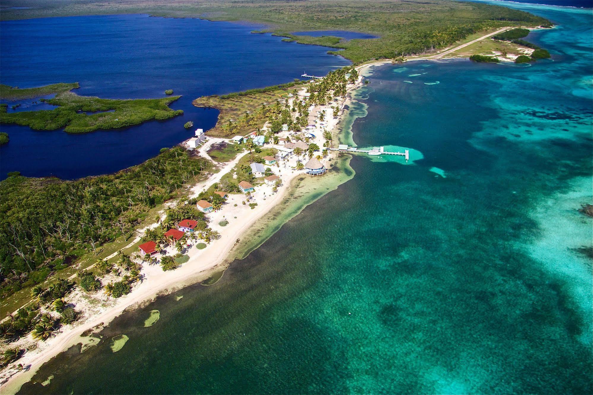 Blackbird Caye Resort Turneffe Atoll Esterno foto