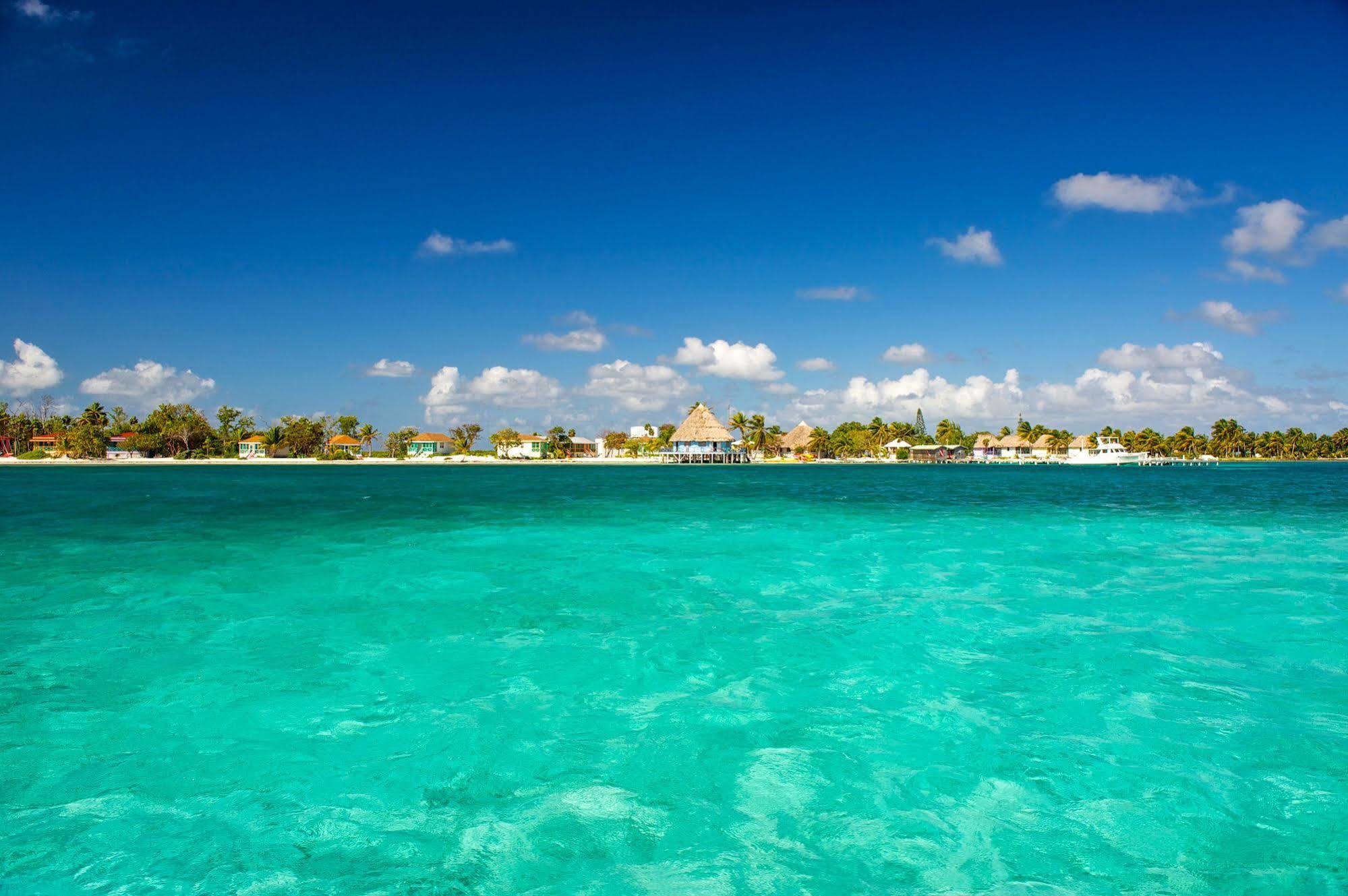 Blackbird Caye Resort Turneffe Atoll Esterno foto